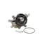 Dayco Water Pump, Dp877 DP877 - alternate 2